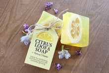 Load image into Gallery viewer, Artisan Loofah Soap-CITRUS BLEND
