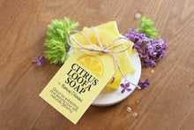 Load image into Gallery viewer, Artisan Loofah Soap-CITRUS BLEND
